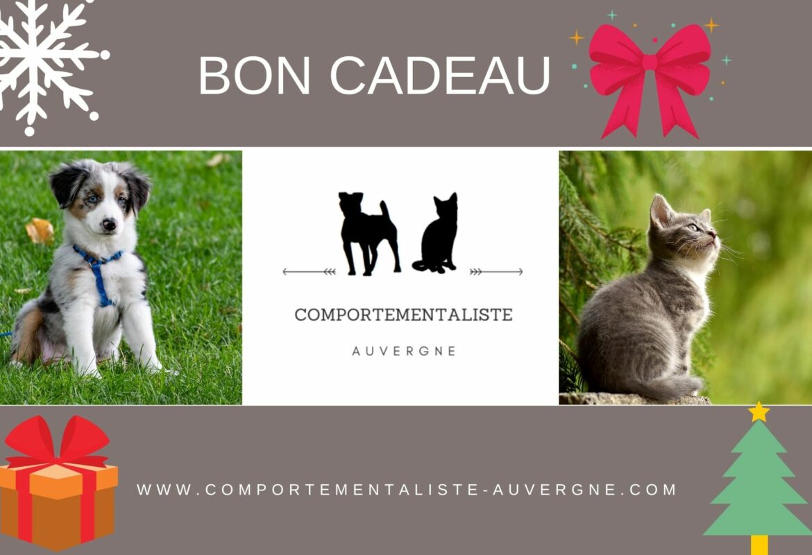 image du bon cadeau de comportementaliste auvergne