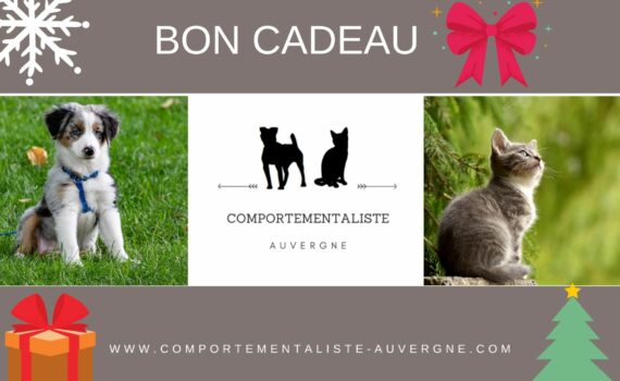 image du bon cadeau de comportementaliste auvergne