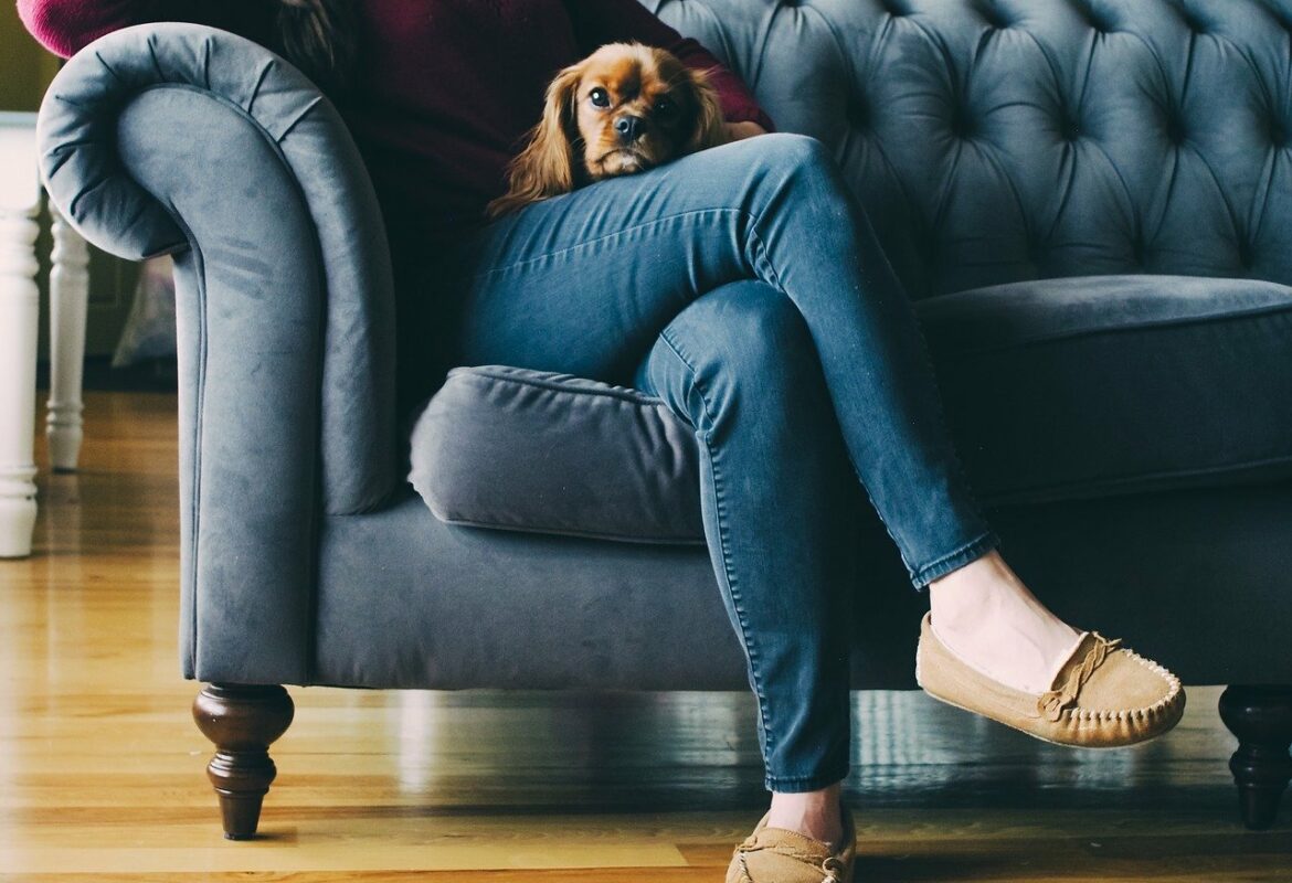 photo chien et sa maitresse sur canapé