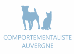 Retour Accueil